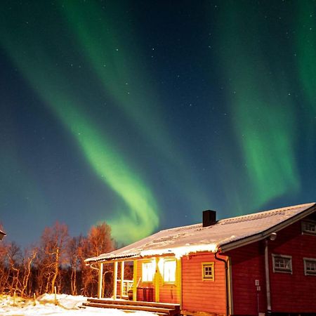 Trivelig Hytte I Senja. Extérieur photo