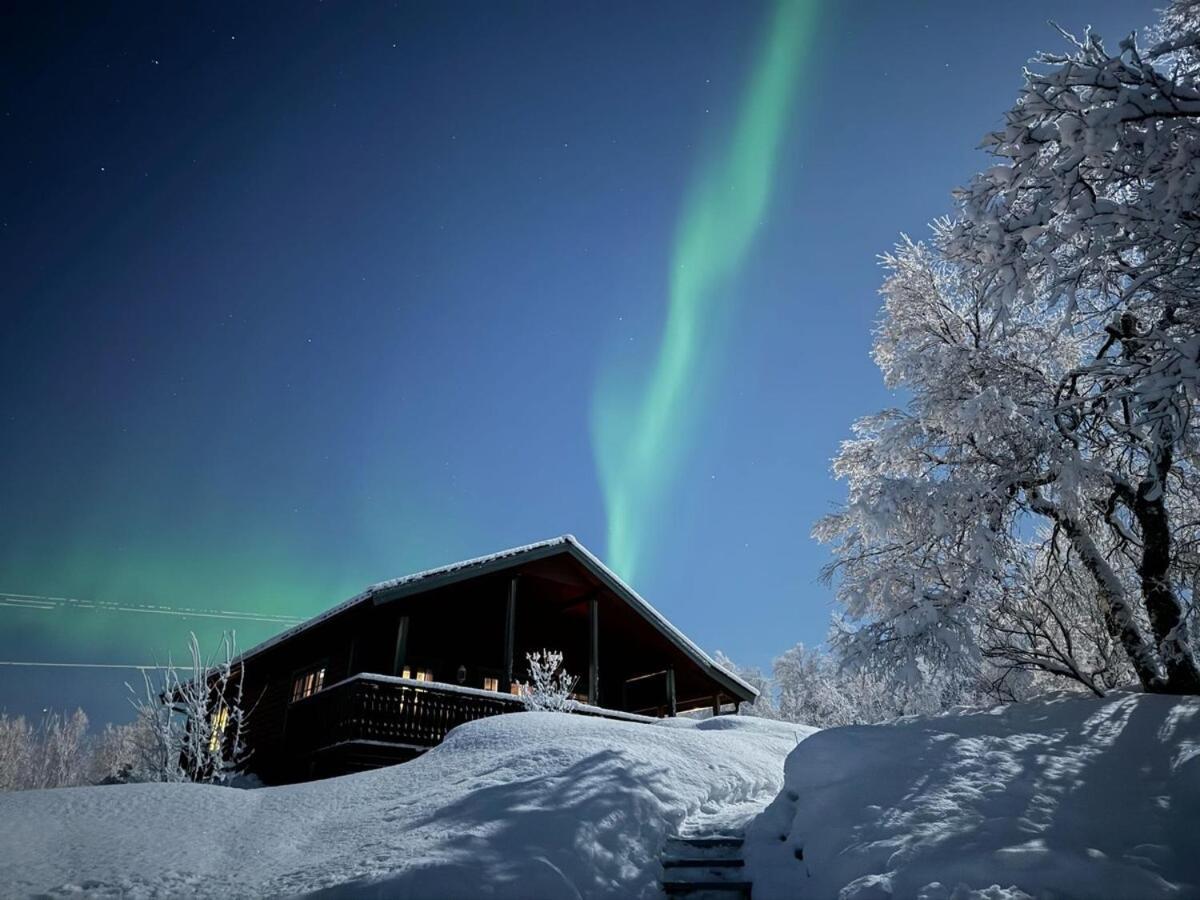 Trivelig Hytte I Senja. Extérieur photo