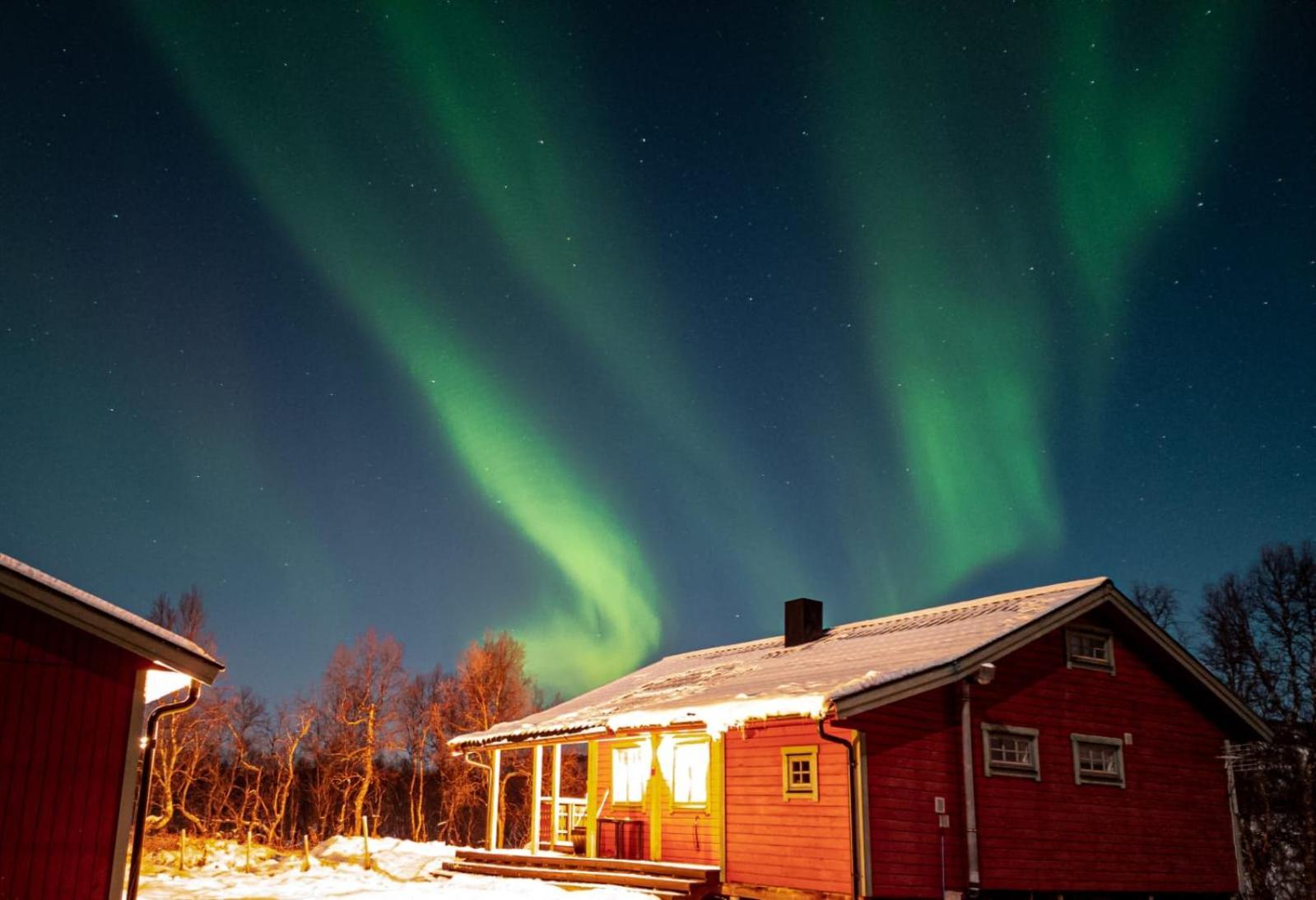Trivelig Hytte I Senja. Extérieur photo