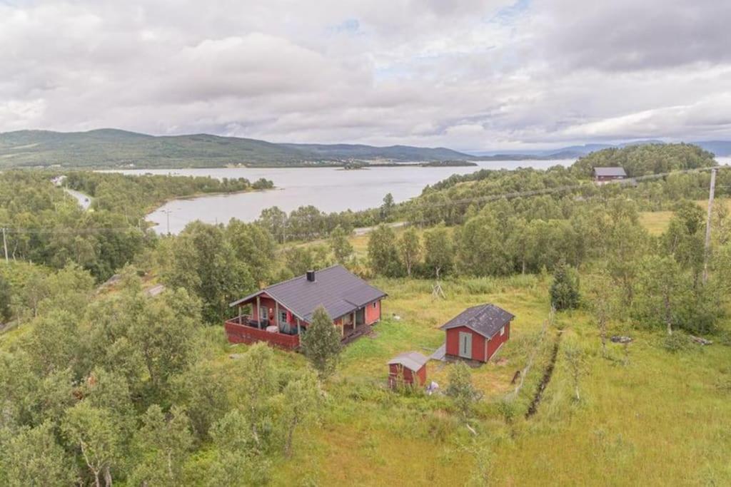 Trivelig Hytte I Senja. Extérieur photo