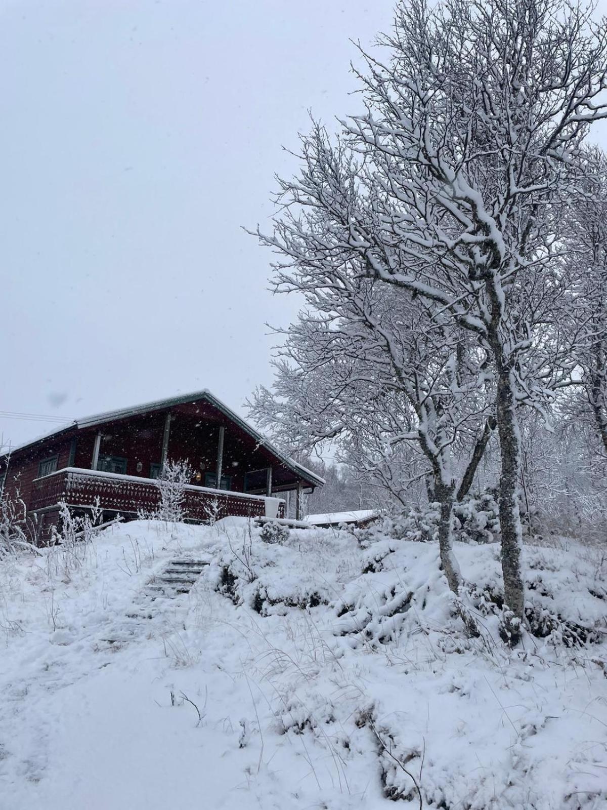 Trivelig Hytte I Senja. Extérieur photo
